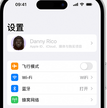 平邑appleID维修服务iPhone设置中Apple ID显示为灰色无法使用