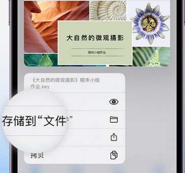 平邑apple维修中心分享iPhone文件应用中存储和找到下载文件