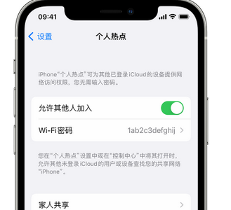 平邑apple服务站点分享iPhone上个人热点丢失了怎么办 