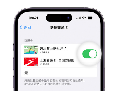 平邑apple维修点分享iPhone上更换Apple Pay快捷交通卡手绘卡面 