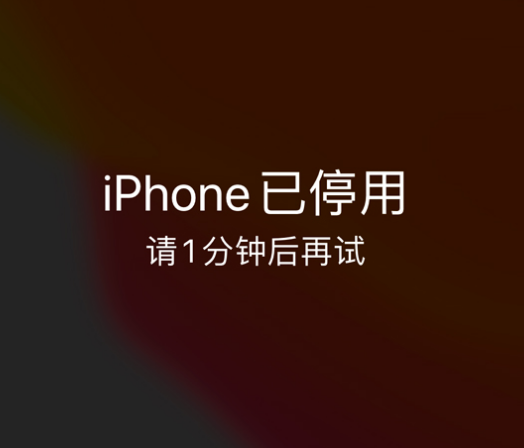 平邑苹果手机维修分享:iPhone 显示“不可用”或“已停用”怎么办？还能保留数据吗？ 