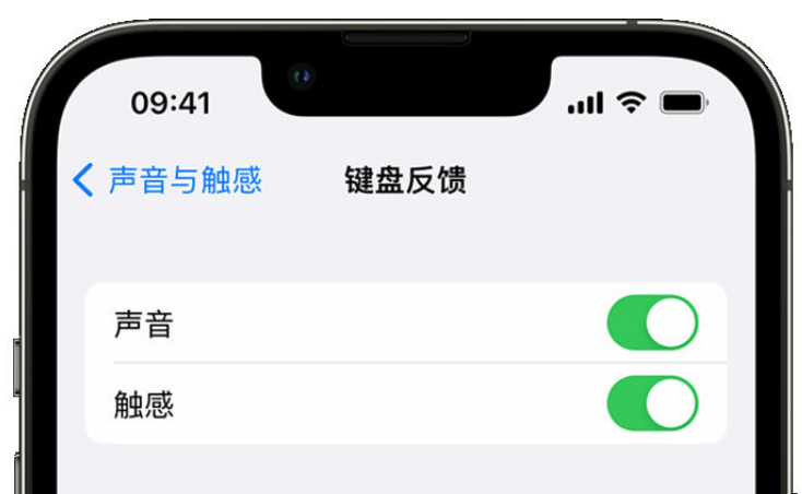 平邑苹果手机维修分享iPhone 14触感键盘使用方法 