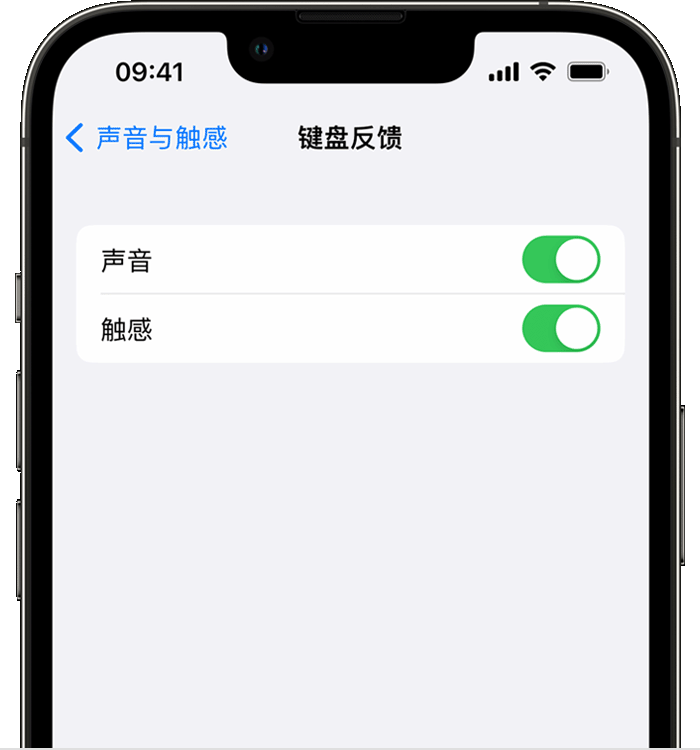 平邑苹果14维修店分享如何在 iPhone 14 机型中使用触感键盘 