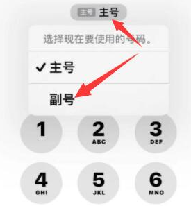 平邑苹果14维修店分享iPhone 14 Pro Max使用副卡打电话的方法 