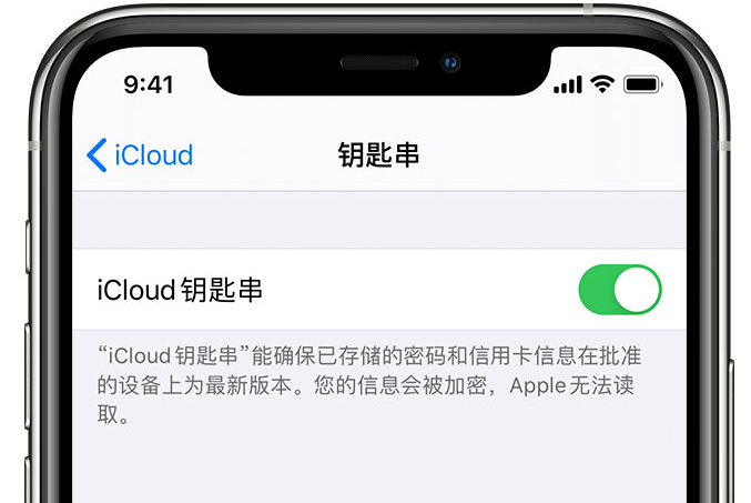 平邑苹果手机维修分享在 iPhone 上开启 iCloud 钥匙串之后会储存哪些信息 