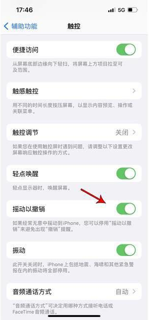 平邑苹果手机维修分享iPhone手机如何设置摇一摇删除文字 