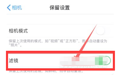 平邑苹果13维修分享iPhone13拍照有绿点是怎么回事 