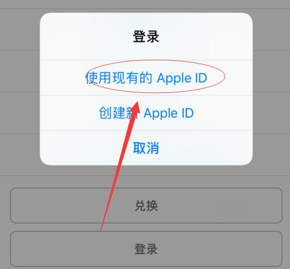 平邑苹果手机维修分享两台iPhone设备可以同时登录一个Apple ID吗 