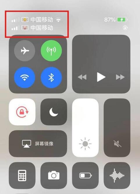 平邑苹果手机维修分享为 iPhone 12 双卡设置标签 